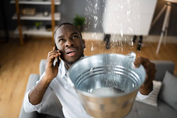 Best Ceiling water damage repair  in Mount Zion, GA
