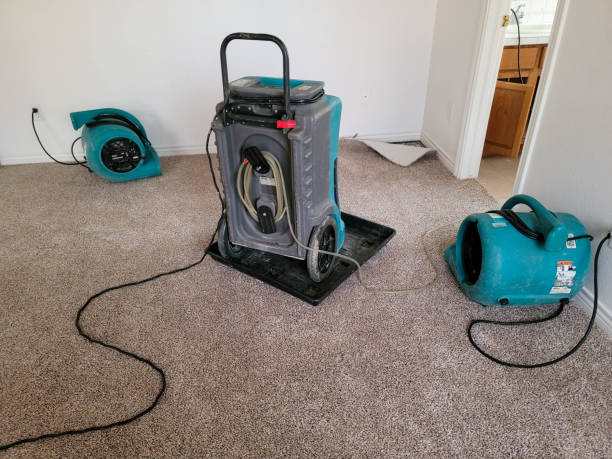 Best Flood damage cleanup  in Mount Zion, GA