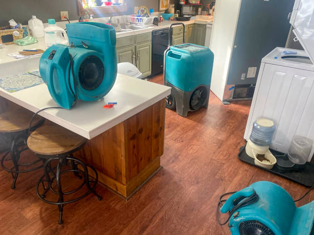 Best Sewage cleanup and water damage restoration  in Mount Zion, GA