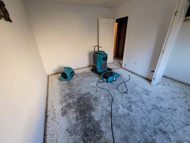  Mount Zion, GA Water damage restoration Pros