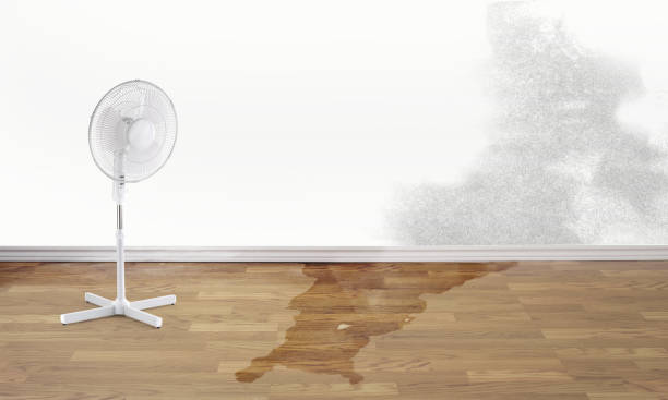 Best Local water damage restoration  in Mount Zion, GA