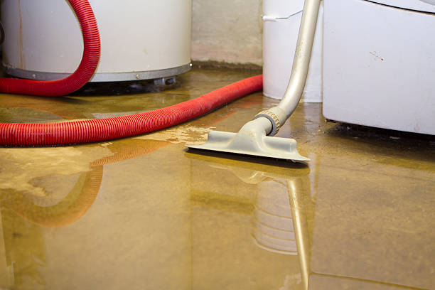 Best Water damage restoration near me  in Mount Zion, GA