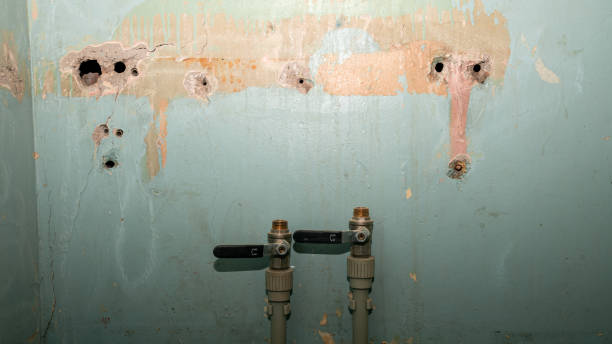 Best Basement water damage restoration  in Mount Zion, GA