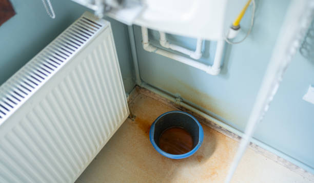 Best Water damage restoration process  in Mount Zion, GA