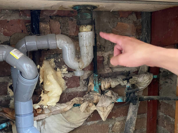 Best Water damage restoration near me  in Mount Zion, GA
