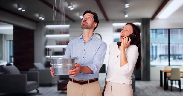 Best Flooded house restoration  in Mount Zion, GA
