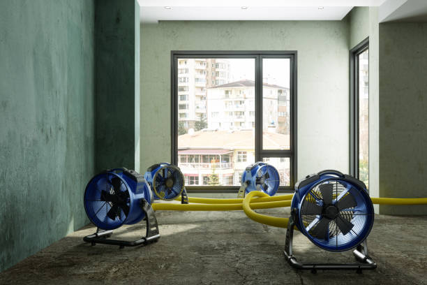 Best Local water damage restoration  in Mount Zion, GA